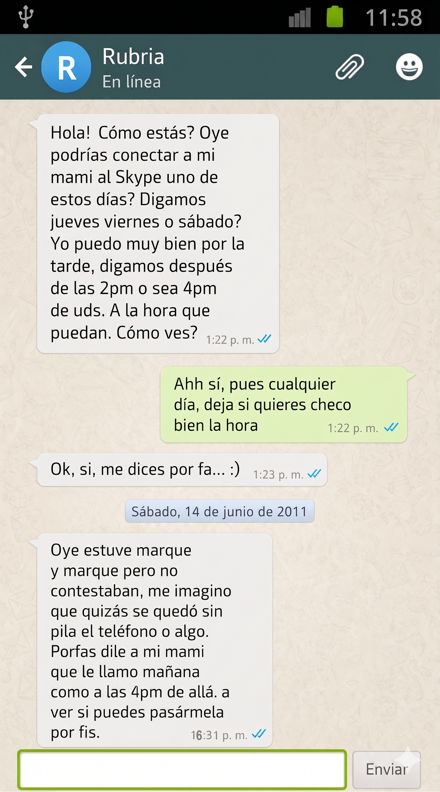 Celular Chacho 3